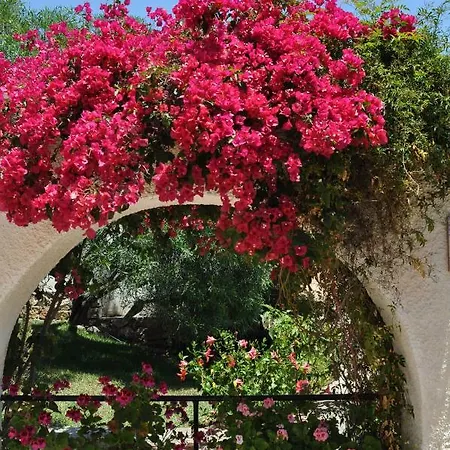 Holiday home Casa Hortensia *